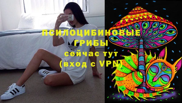 прущая мука Алексин