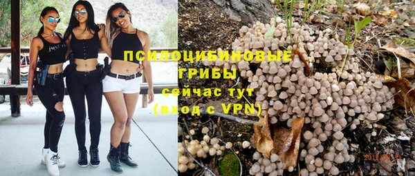 прущая мука Алексин